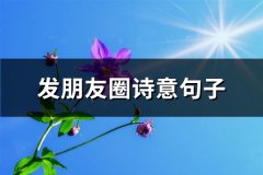 发朋友圈诗意句子(汇总65句)