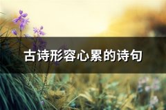古诗形容心累的诗句(通用66句)