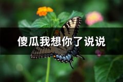 傻瓜我想你了说说(推荐45句)