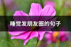 睡觉发朋友圈的句子(必备50句)