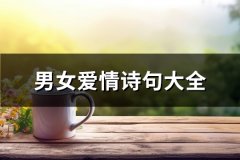 男女爱情诗句大全(汇总30句)