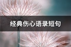 经典伤心语录短句(共67句)