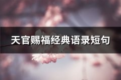 天官赐福经典语录短句(推荐66句)