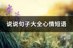 说说句子大全心情短语(实用67句)