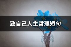 致自己人生哲理短句(通用51句)