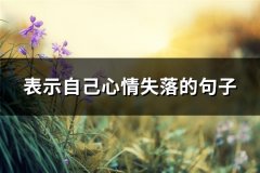 表示自己心情失落的句子(汇总86句)