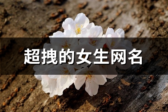 超拽的女生网名(共351个)(超拽的女生网名俩字儿)