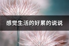 感觉生活的好累的说说(必备36句)