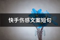 快手伤感文案短句(共65句)