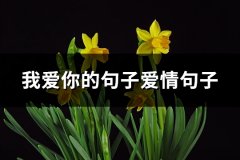 我爱你的句子爱情句子(必备69句)