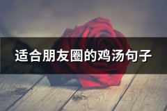 适合朋友圈的鸡汤句子(必备66句)