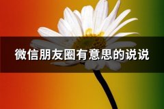 微信朋友圈有意思的说说(优选66句)