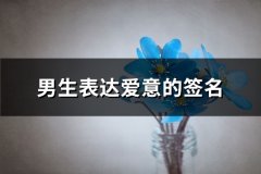 男生表达爱意的签名(实用66句)