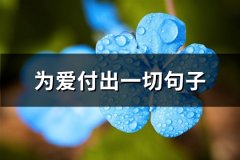 为爱付出一切句子(优选80句)