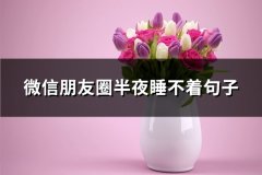 微信朋友圈半夜睡不着句子(共65句)