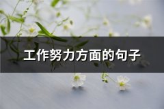 工作努力方面的句子(实用66句)