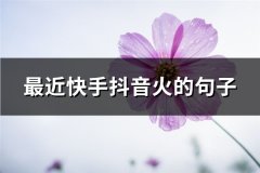 最近快手抖音火的句子(通用65句)