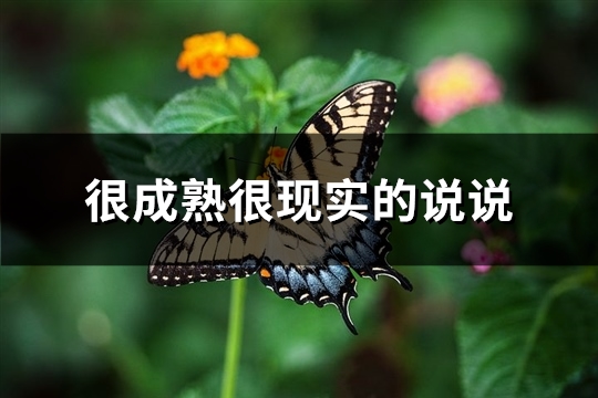 很成熟很现实的说说(通用67句)(很成熟很现实的一段话短句)