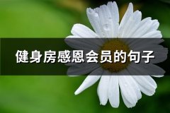 健身房感恩会员的句子(优选50句)