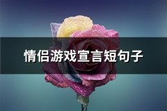 情侣游戏宣言短句子(实用65句)