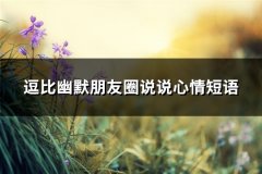 逗比幽默朋友圈说说心情短语(热门66句)