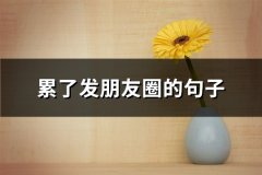 累了发朋友圈的句子(通用67句)