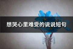 想哭心里难受的说说短句(通用66句)