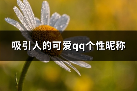 吸引人的可爱qq个性昵称(优选289个)(吸引人的可爱网名)