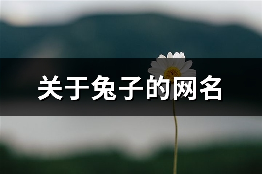 关于兔子的网名(精选66个)(关于兔子的网名霸气)