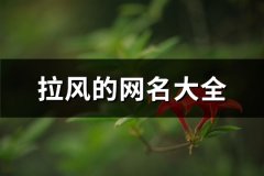 拉风的网名大全(优选198个)