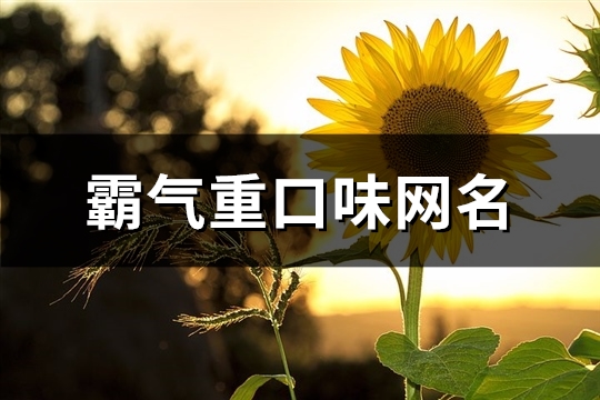 霸气重口味网名(精选108个)