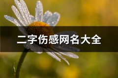 二字伤感网名大全(精选801个)