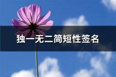 独一无二简短性签名(共66句)