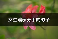 女生暗示分手的句子(精选68句)