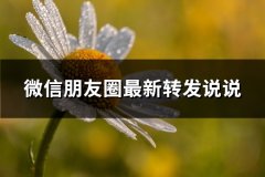 微信朋友圈最新转发说说(通用66句)