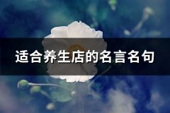 适合养生店的名言名句(优选66句)