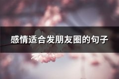 感情适合发朋友圈的句子(共66句)