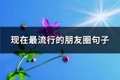 现在最流行的朋友圈句子(共66句)