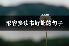 形容多读书好处的句子(精选50句)