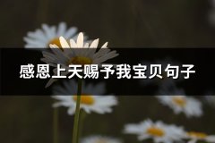 感恩上天赐予我宝贝句子(精选31句)