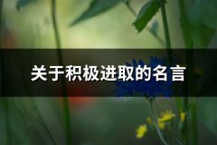 关于积极进取的名言(推荐66句)