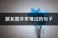 朋友圈非常难过的句子(67句)