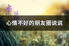 心情不好的朋友圈说说(共66句)