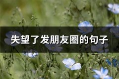 失望了发朋友圈的句子(推荐66句)