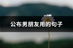 公布男朋友用的句子(优选66句)