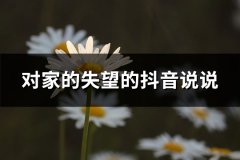 对家的失望的抖音说说(推荐51句)