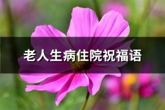 老人生病住院祝福语(共26句)