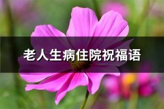 老人生病住院祝福语(共26句)