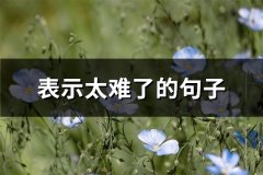 表示太难了的句子(实用67句)