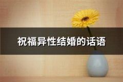 祝福异性结婚的话语(51句)